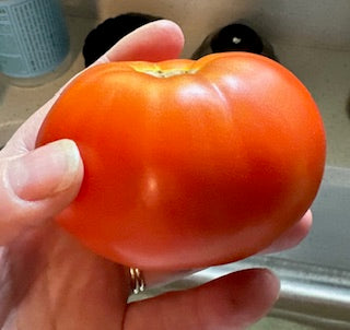 Better Bush Tomato (F1)