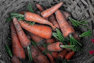 Danvers 126 Carrots