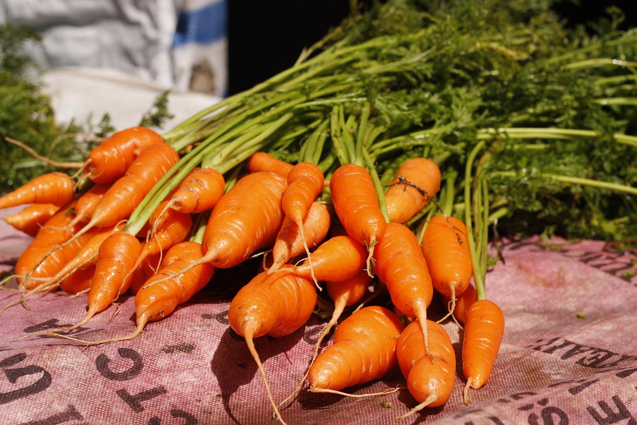 Danvers 126 Carrots