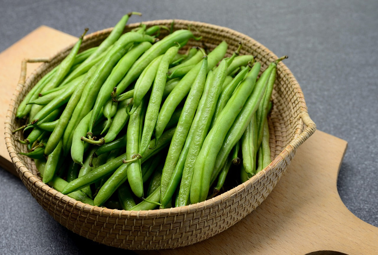 Blue Lake Pole Bean