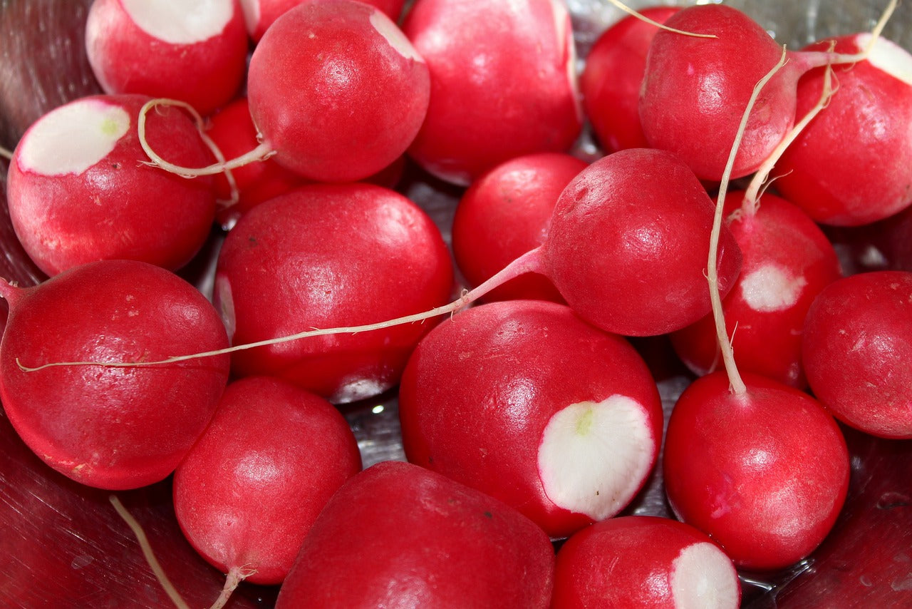 Cherry Belle Radish
