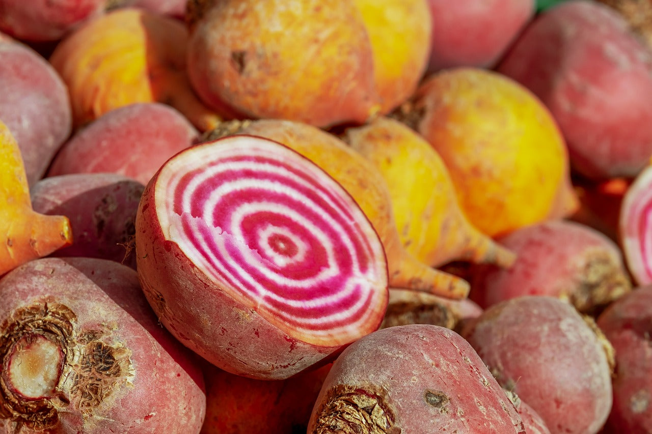 Chioggia Beets