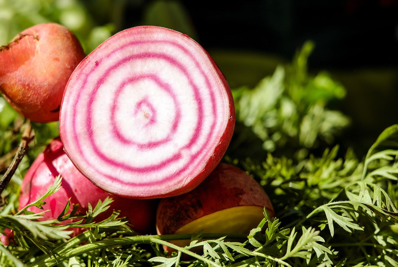 Chioggia Beets
