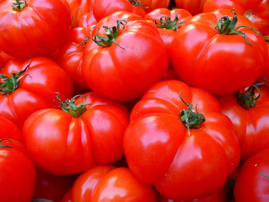 Beefsteak Tomato