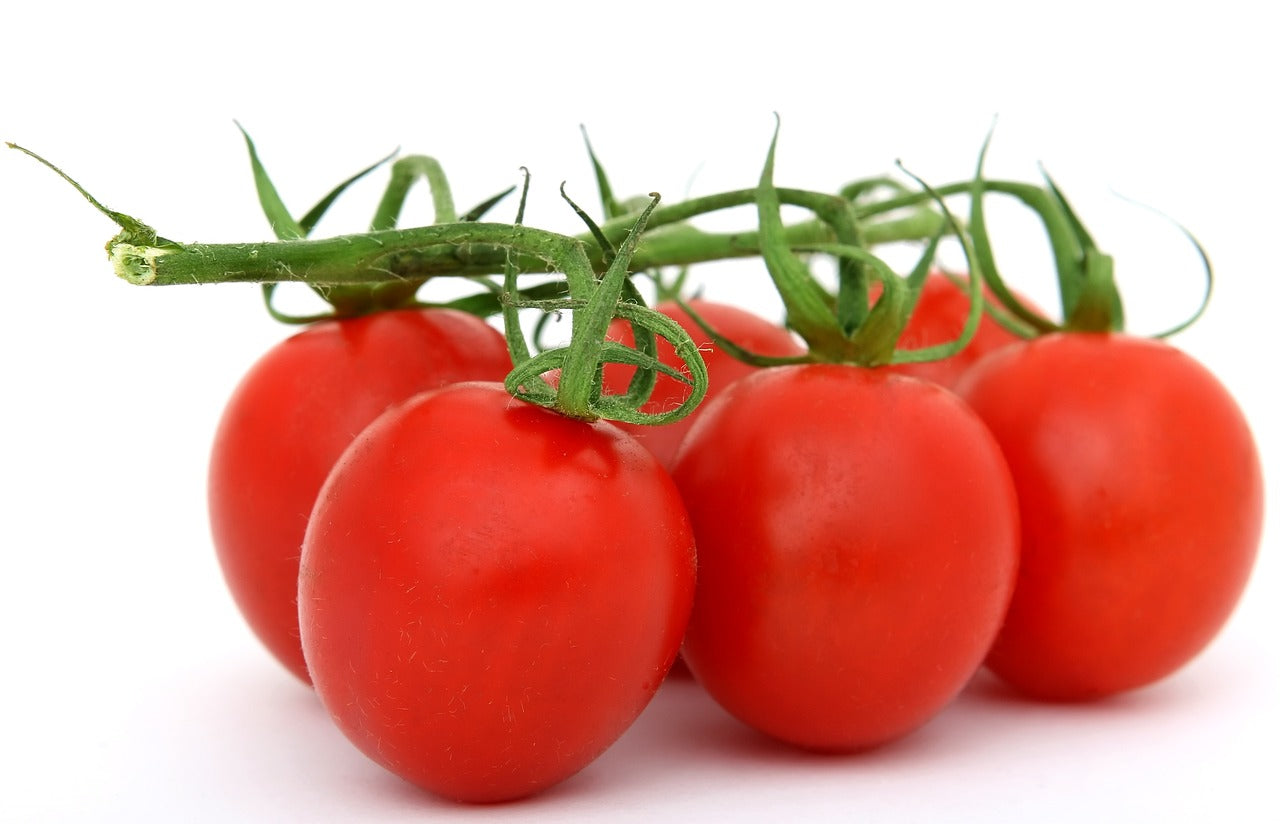 Roma VF Tomato