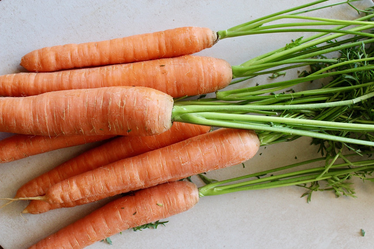 Scarlet Nantes Carrots