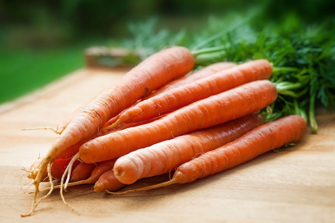 Scarlet Nantes Carrots