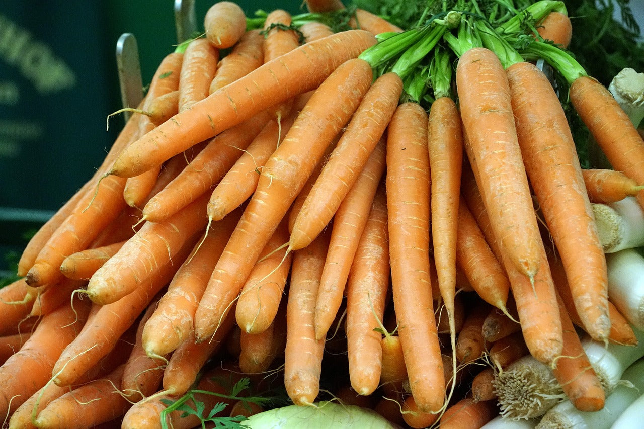 Scarlet Nantes Carrots