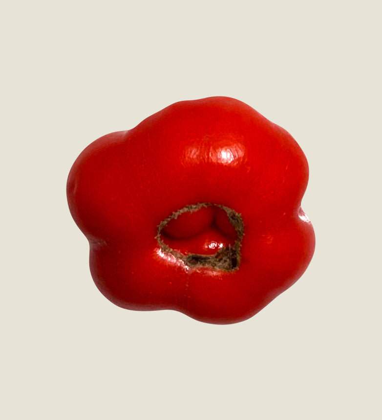 Voyage Tomato (Brain/Peruvian Travelers)