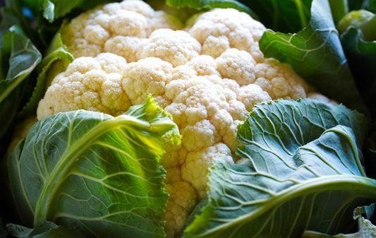 Snowball Y Improved Cauliflower