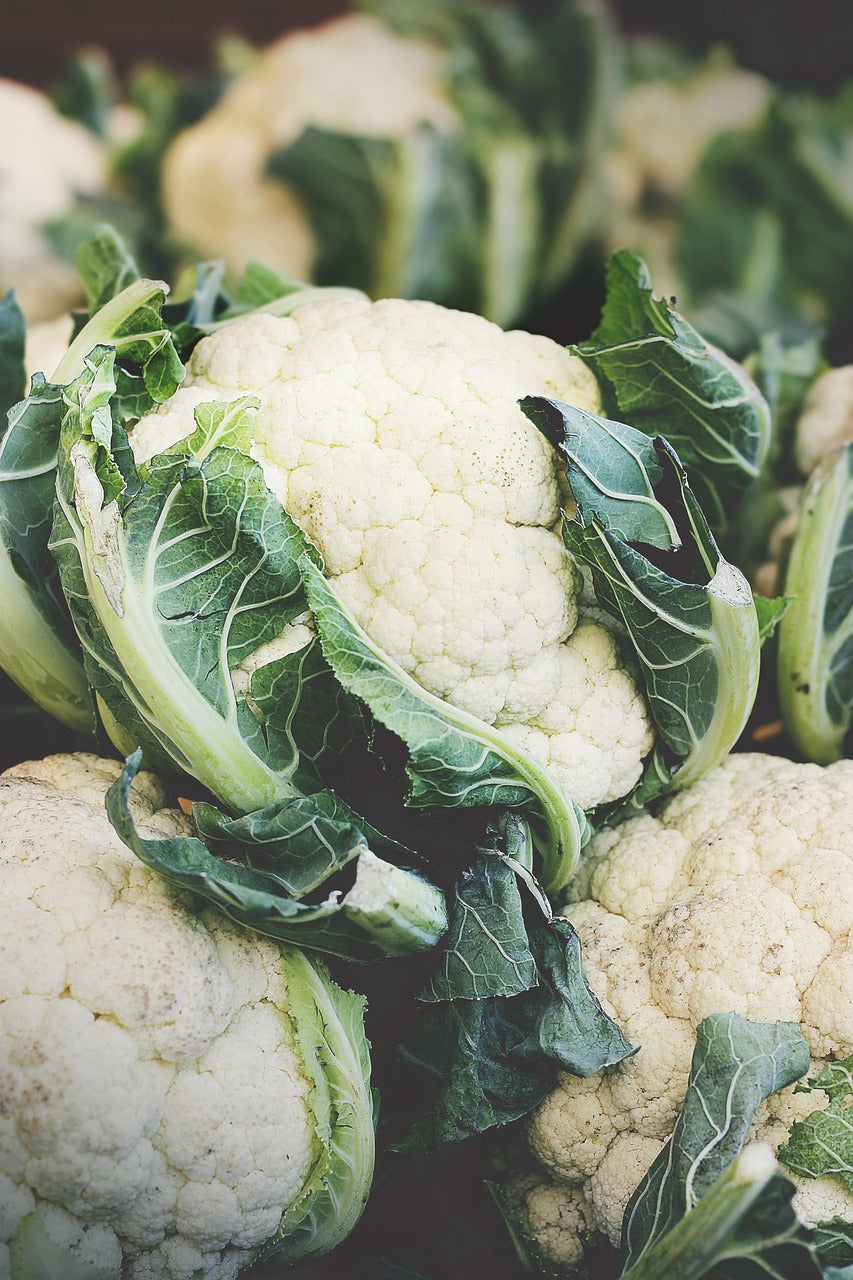 Snowball Self Blanching Cauliflower