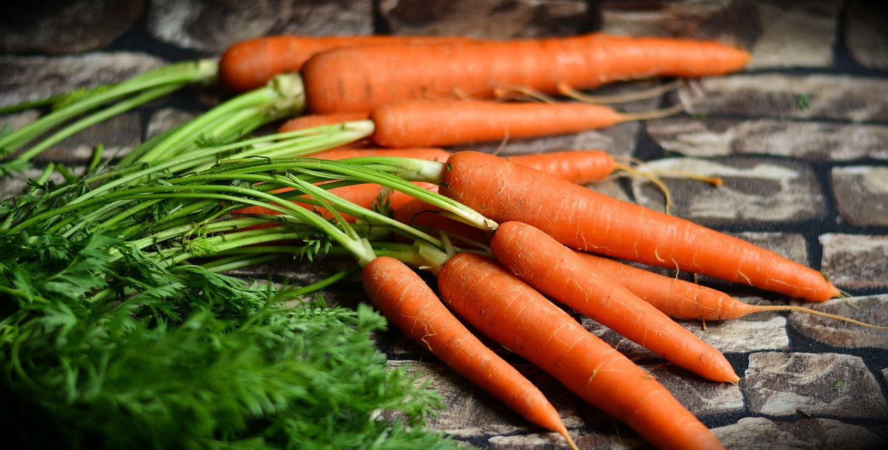 Little Finger Carrots