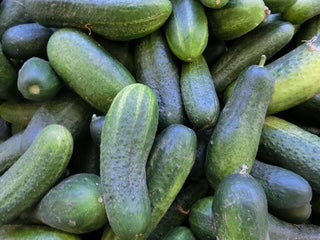 Boston Pickling Cucumber