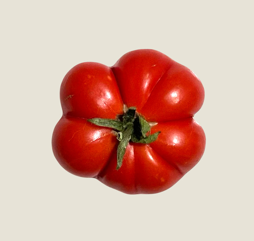 Voyage Tomato (Brain/Peruvian Travelers)