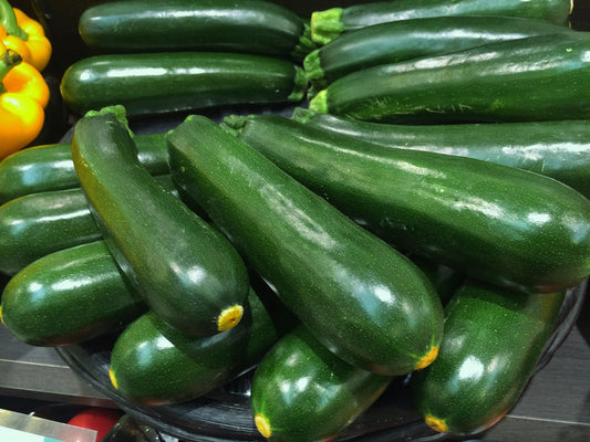 Black Beauty Zucchini