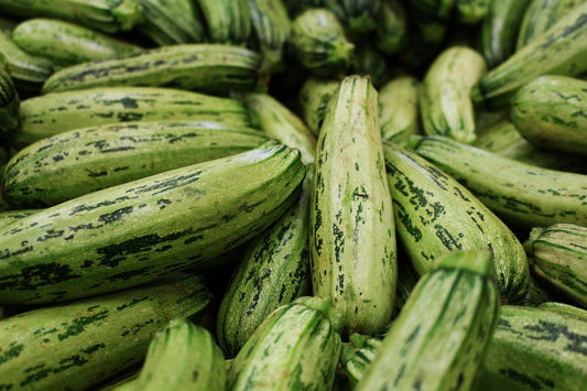 Caserta Zucchini