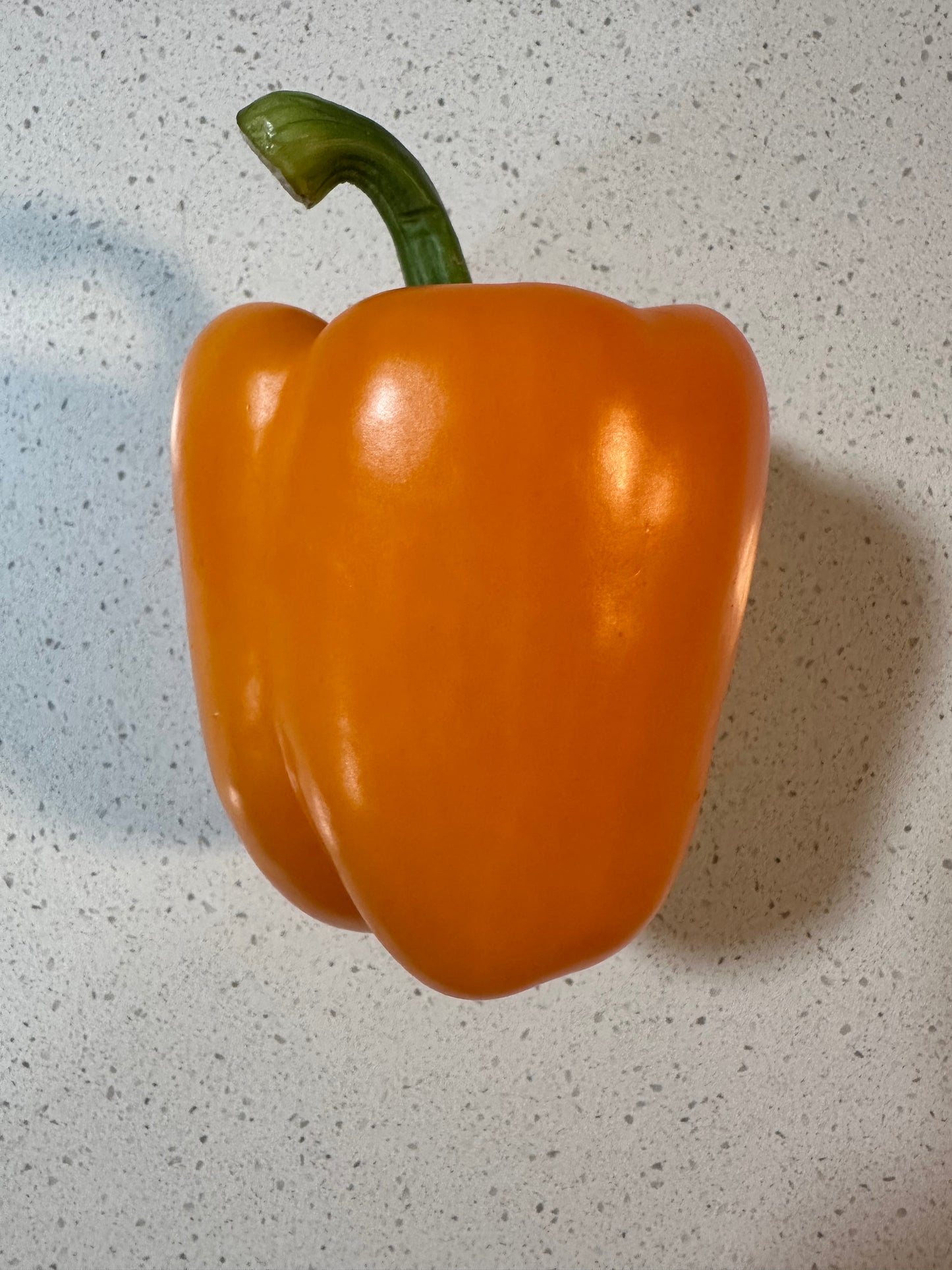 Orange Sweet Pepper