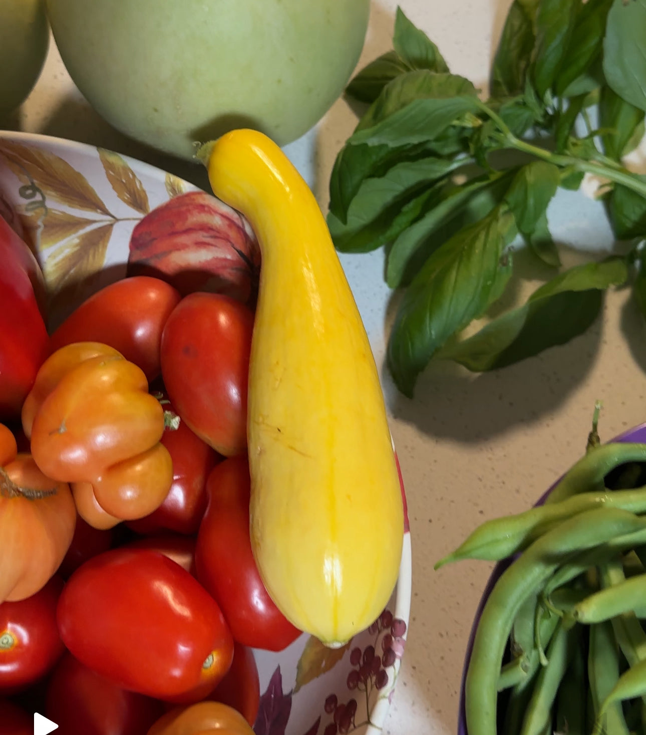 Crookneck Yellow Summer Squash