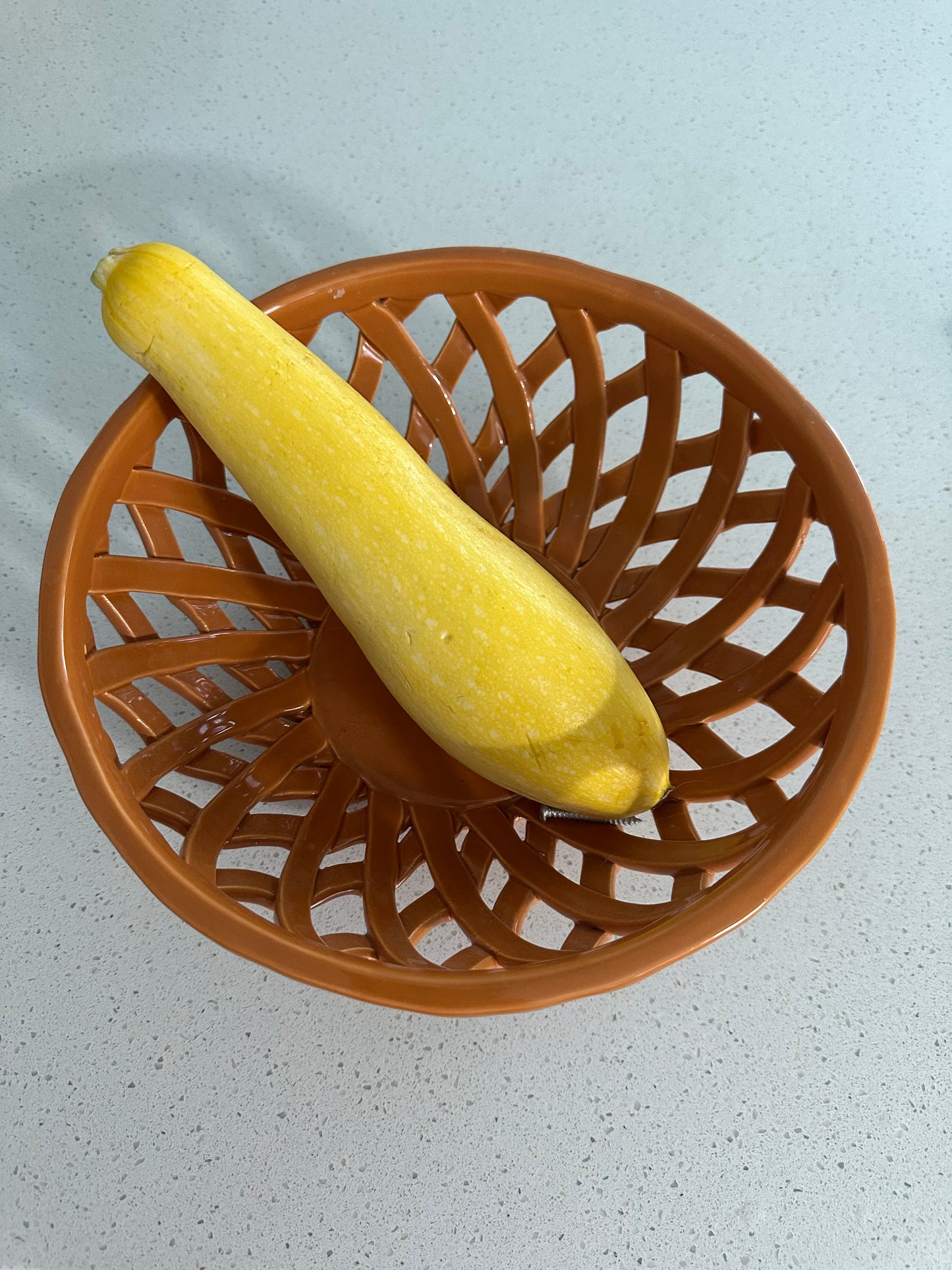Early Prolific Straightneck Squash