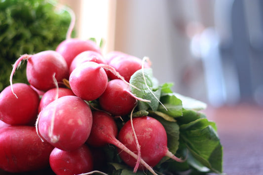 Cherry Belle Radish