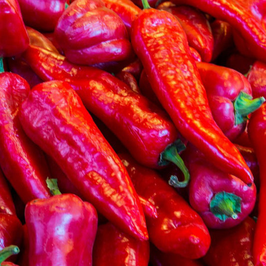 Big Jim Hot Pepper Organic