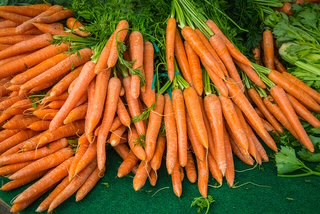 Little Finger Carrots